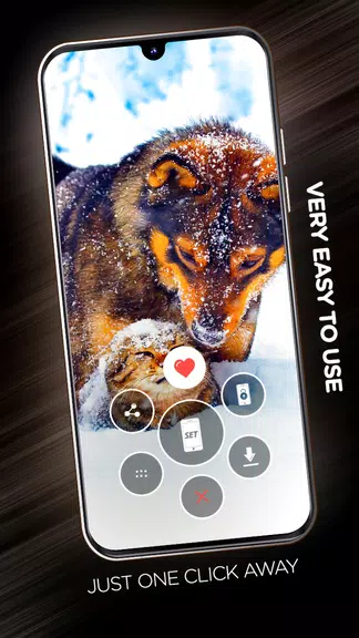Wallpapers with dogs in 4K Captura de pantalla 2