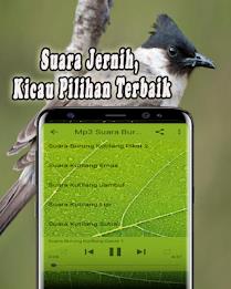 Suara Burung Kutilang Offline Captura de tela 4