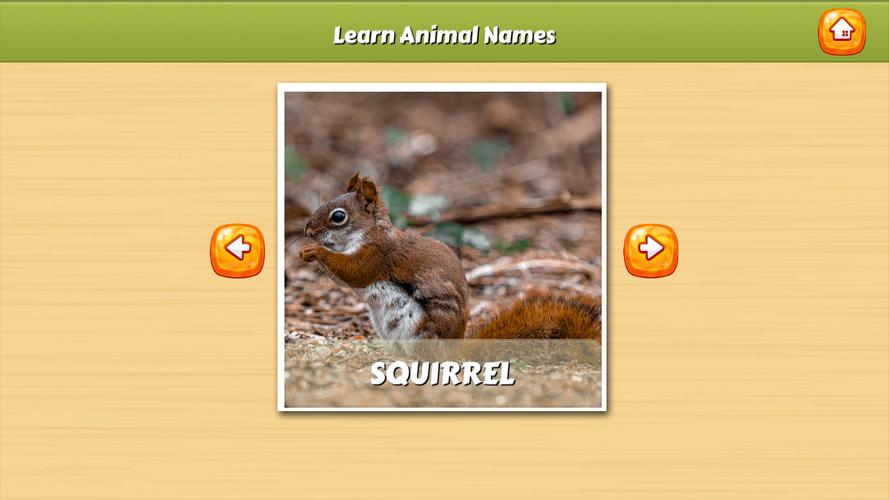 Learn Animal Names Captura de pantalla 1