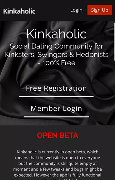 Kinkaholic Screenshot 1