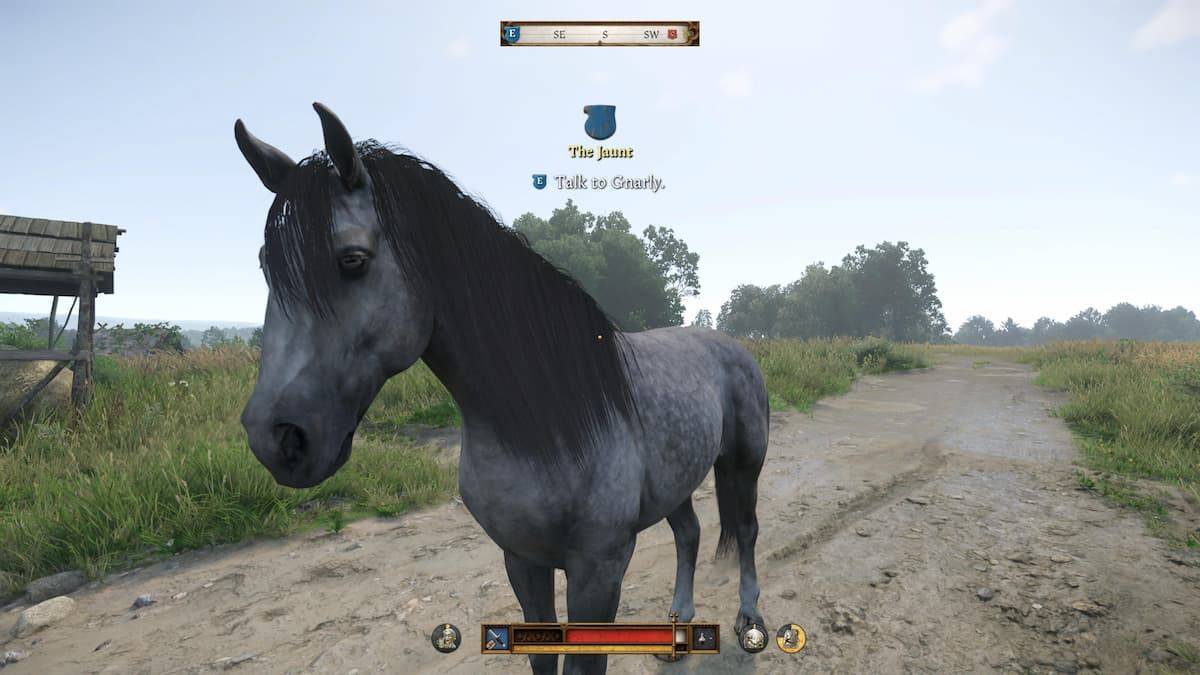「王国で馬を獲得するためのガイドカム：救出2」