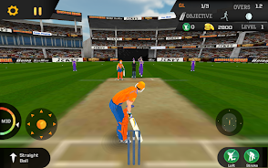 Cricket Unlimited 2017 Captura de pantalla 3