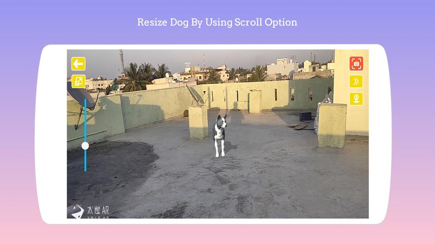 Dog play Ar Скриншот 3