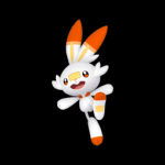 Scorbunny