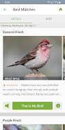 Merlin Bird ID by Cornell Lab Screenshot 2