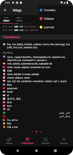 German Dictionary Screenshot 2