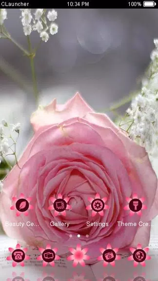 Pretty Pink Rose Theme Capture d'écran 3