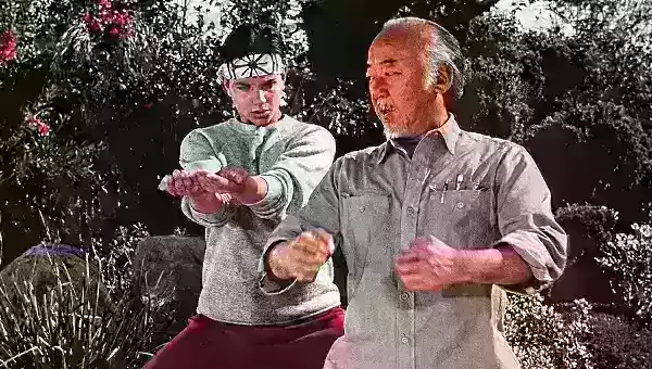 Mr. Miyagi training