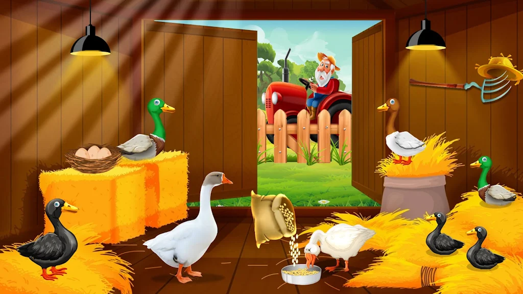 Duck Farm Eggs Chicken Poultry Captura de pantalla 4