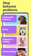 Dog whistle & training app Скриншот 4