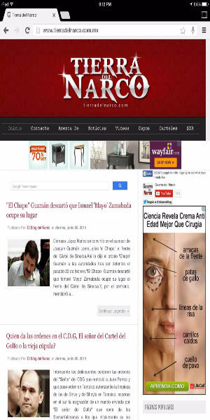 El Blog del Narco應用截圖第1張