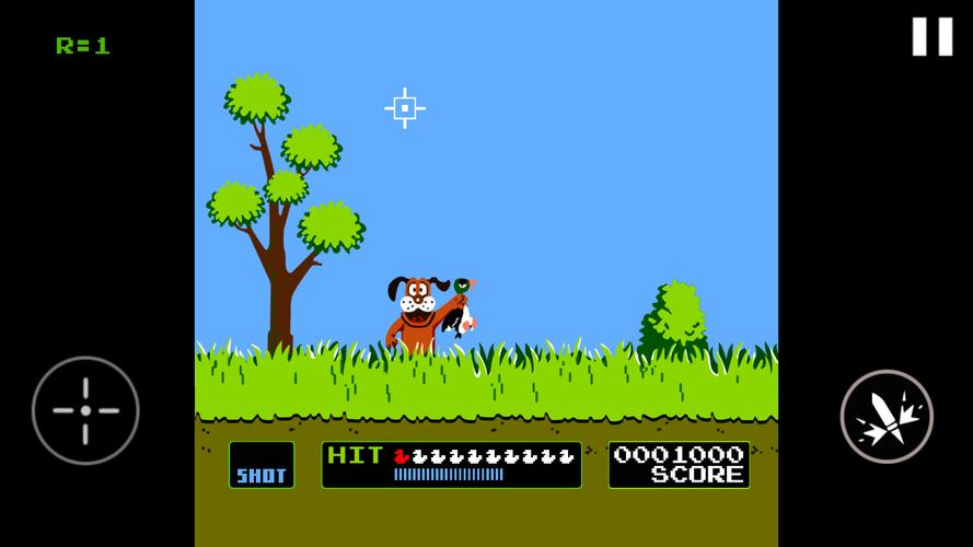 Duck Hunt स्क्रीनशॉट 2