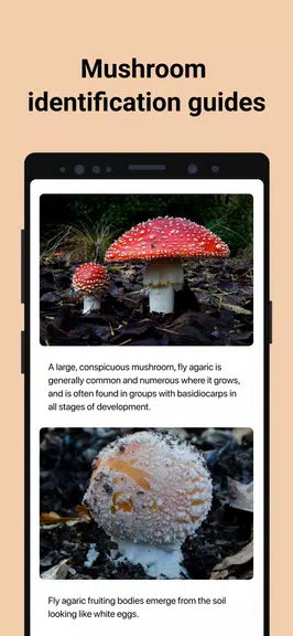 Picture Mushroom - 蘑菇鑑定和採摘指南应用截图第4张