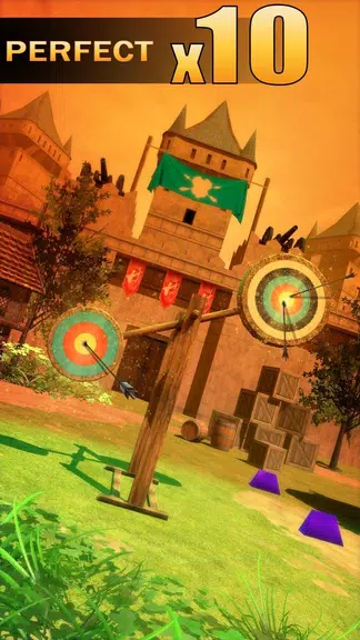 Archery Shooting 스크린샷 1