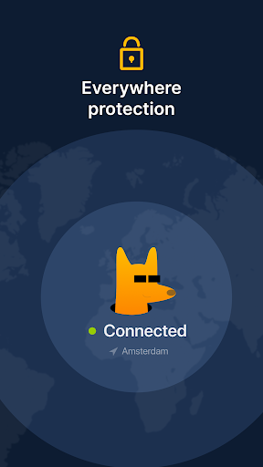 DingoVPN: Fast & Secure Capture d'écran 1