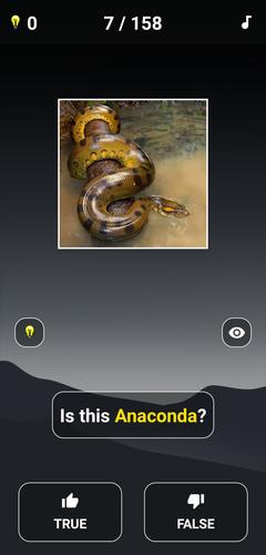 Animal Quiz: Guess the Animal应用截图第3张