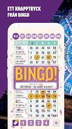 BingoLotto Screenshot 1