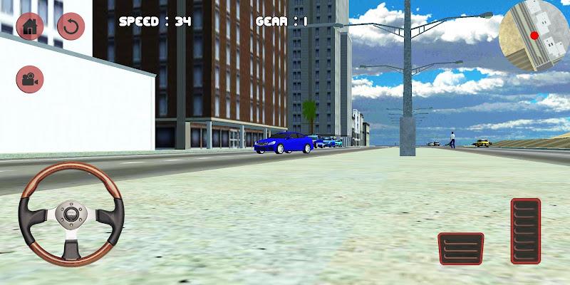 C180 Driving Simulator應用截圖第2張
