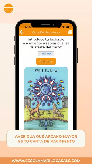 Curso Tarot Esc. Mariló Casals Captura de pantalla 2