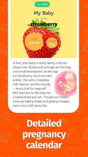 Pregnancy App and Baby Tracker 스크린샷 3