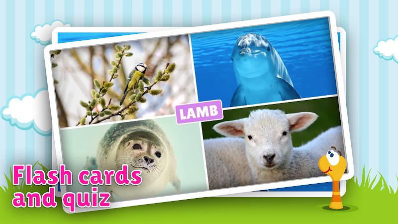 Animal flashcard & sounds स्क्रीनशॉट 2