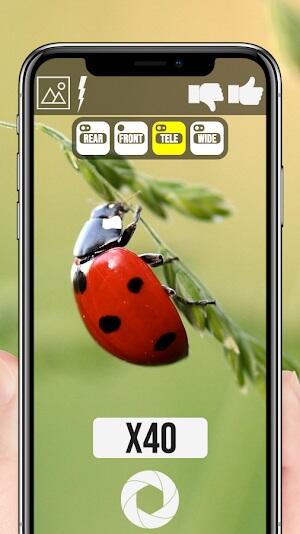 <p><strong>Maximum ZoomAlternativas de APK</strong></p>
<p>Si bien Maximum Zoom ofrece un potente conjunto de funciones para fotografía móvil, existen otras aplicaciones que también ofrecen alternativas de calidad con capacidades únicas. Aquí hay un vistazo a tres opciones notables:</p>
<ul><li><strong>Cámara de Google:</strong> Conocida por su sofisticado procesamiento de imágenes, Google Camera mejora su experiencia fotográfica con funciones como HDR, Night Sight y astrofotografía. Su perfecta integración con dispositivos Android garantiza que puedas capturar fotografías impresionantes sin esfuerzo. Esta aplicación es ideal para quienes valoran la claridad de imagen mejorada por software y los modos de fotografía creativos.</li></ul><p><img src=