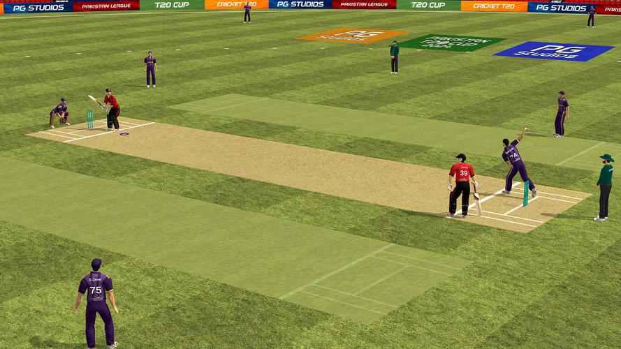 Cricket Game: Pakistan T20 Cup应用截图第4张