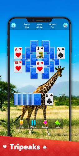 Solitaire Collection 스크린샷 3