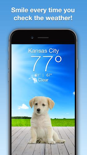 Weather Puppy - App & Widget应用截图第1张