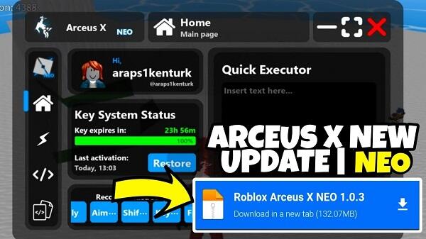 Arceus X NEO Capture d'écran 1