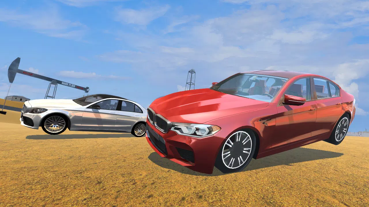 CarSim M5&C63 Screenshot 4