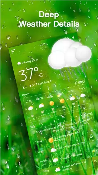 Live Weather Forecast Captura de pantalla 3