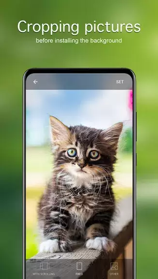 Fondos de pantalla con gatos Captura de pantalla 4