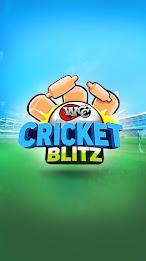 WCC Cricket Blitz 스크린샷 1