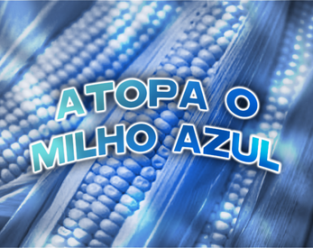 Atopa o Milho Azul スクリーンショット 1