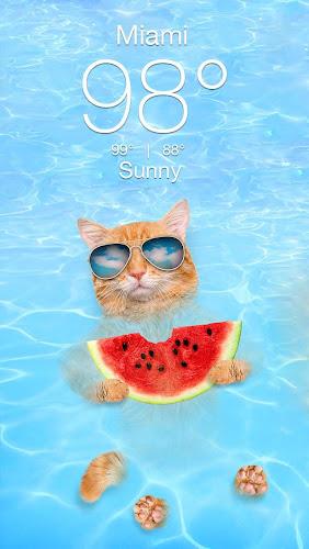 Weather Kitty - App & Widget Capture d'écran 2