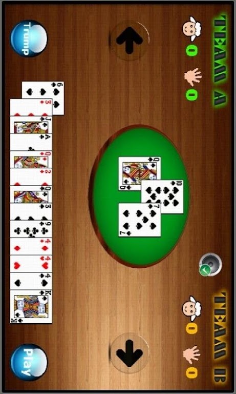 MendhiCoat - Dehla Pakad Screenshot 3