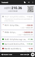 Testnet Wallet Screenshot 1