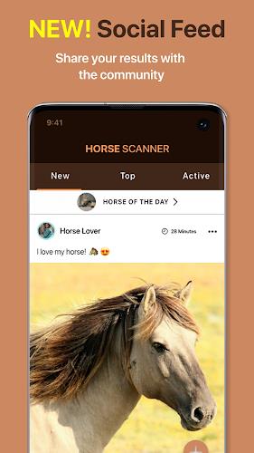 Horse Scanner 스크린샷 4