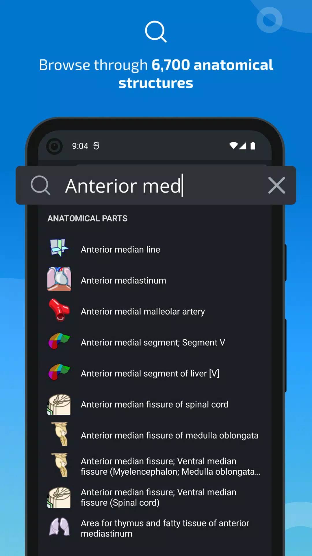 e-Anatomy 스크린샷 3