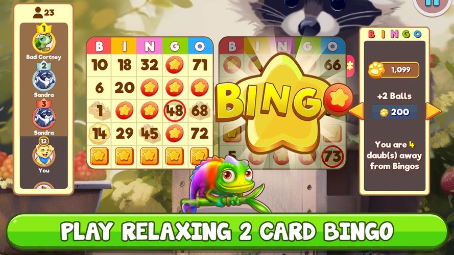 Bingo:  Free the Pets應用截圖第2張