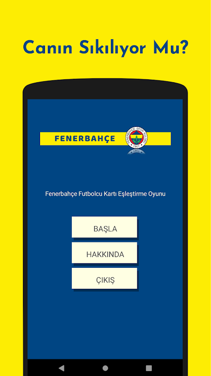 Fenerbahçe Futbolcu Kart Eşleştirme Oyunu Screenshot 1