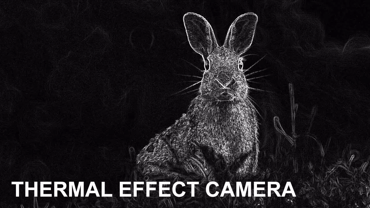 Low Light Cam Thermal Effects स्क्रीनशॉट 1