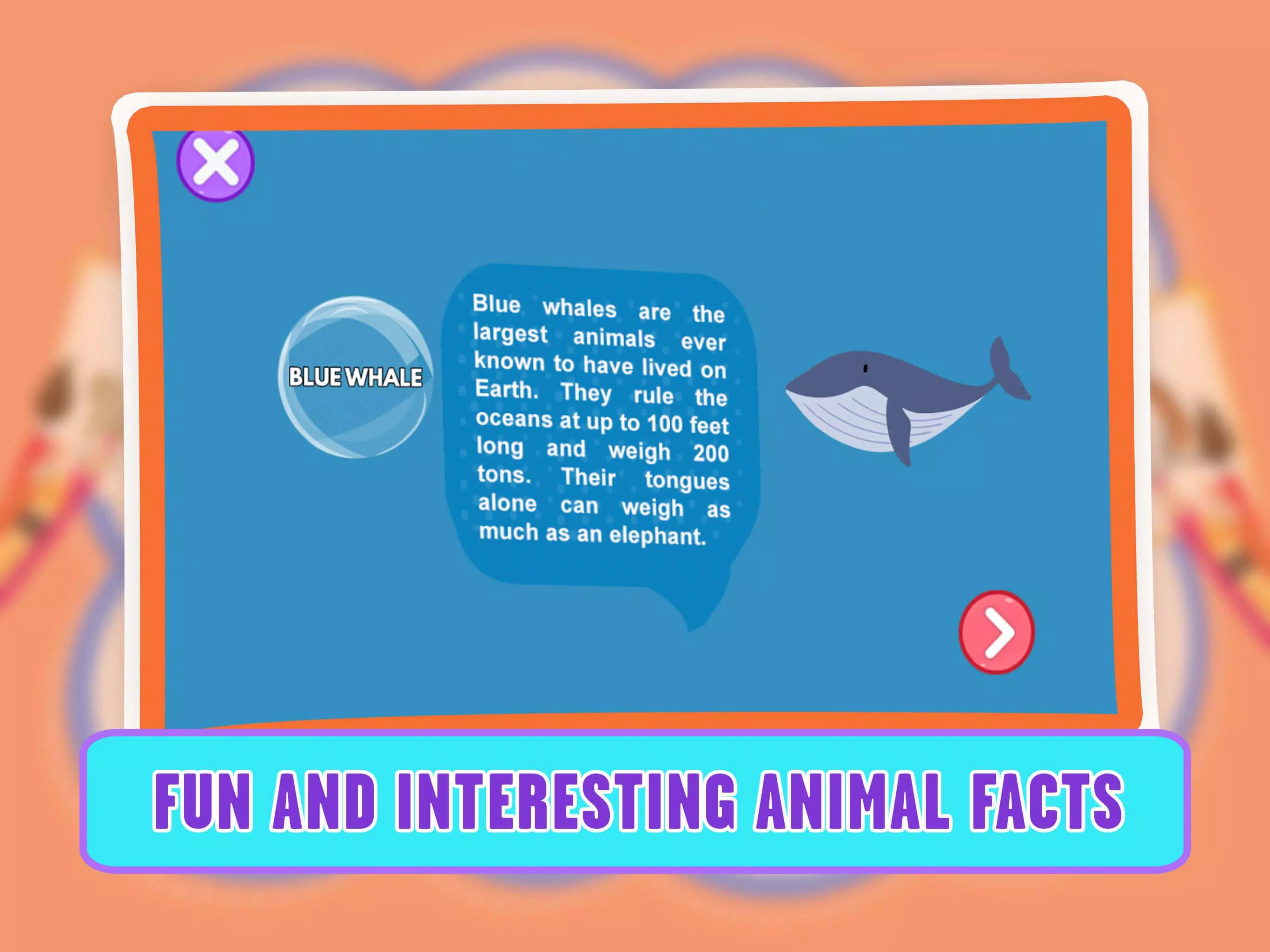 Learning Animal Coloring Games應用截圖第4張