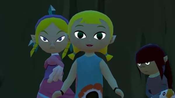 Wind Waker HD Switch 2 Port ist noch