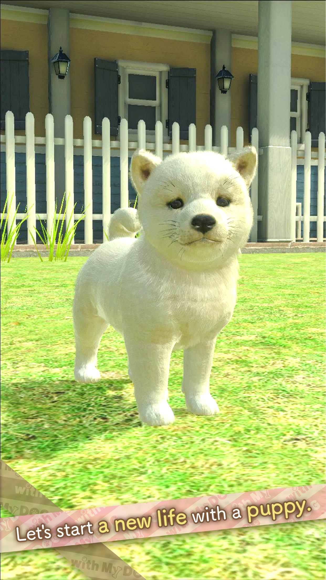 with My DOG Screenshot 1