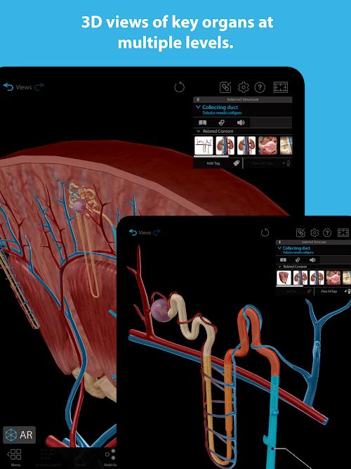 Human Anatomy Atlas 2023 Captura de pantalla 3