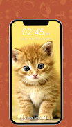 Kitty Cat Pin Lock Screen स्क्रीनशॉट 1