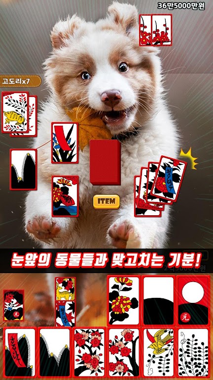 애니멀 맞고 - 동물 팻 고스톱 Capture d'écran 2