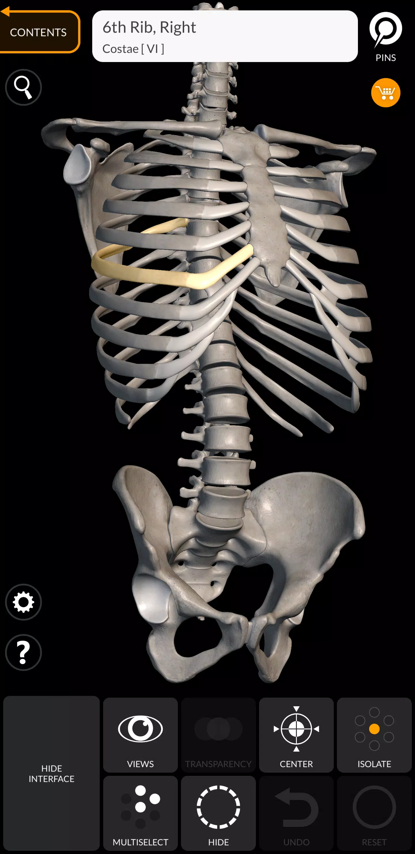 Skeleton Capture d'écran 1